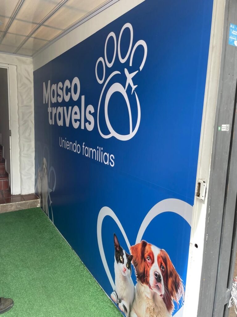 WhatsApp Image 2025-02-13 at 1.40.21 PM (1)